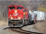 CP 7004